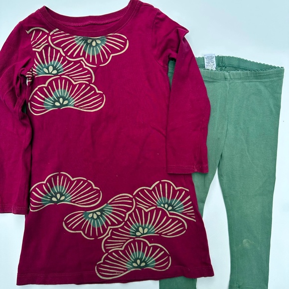 Lot of 3 Tea Collection Dresses and matching leggings, size 3 Girls - Picture 5 of 9